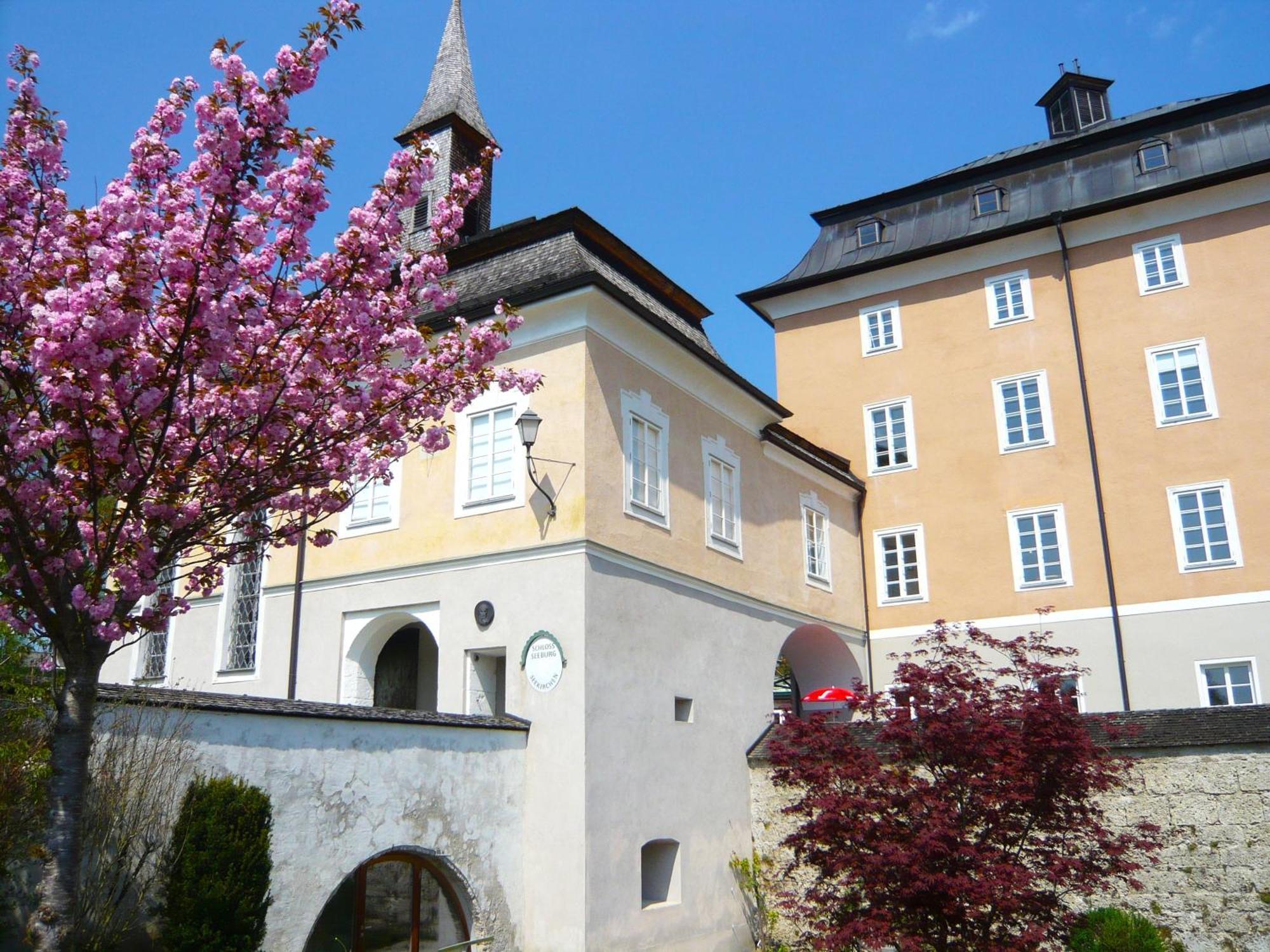 Haus Am Weinberg Lejlighed Seekirchen am Wallersee Eksteriør billede