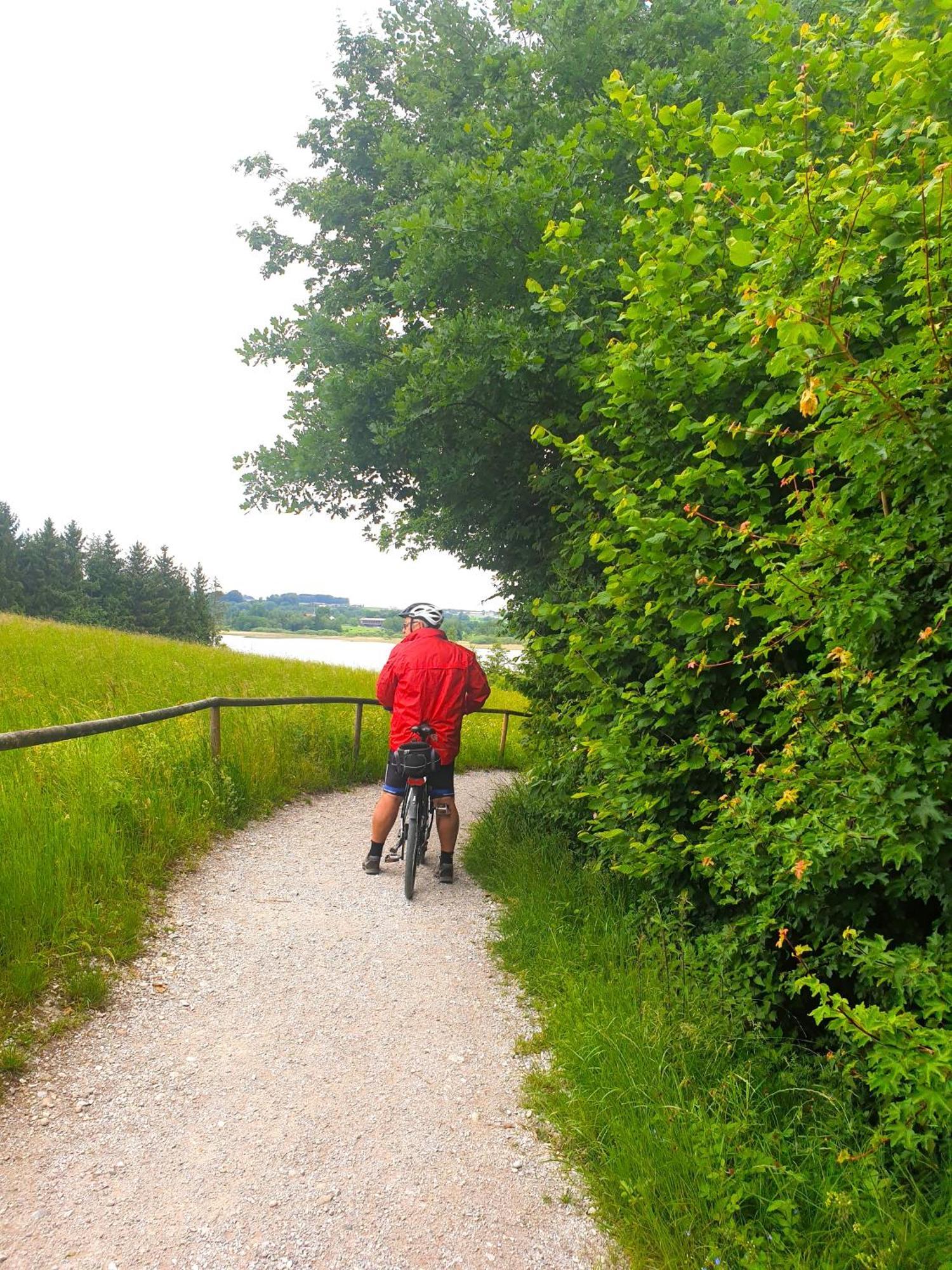 Haus Am Weinberg Lejlighed Seekirchen am Wallersee Eksteriør billede